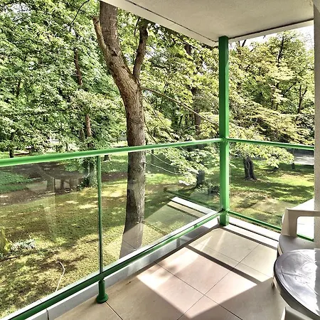 Forest 4* Primorszko