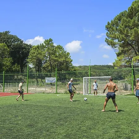 Forest 4* Primorszko