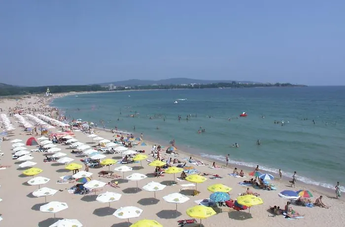 Forest פרימורסקו