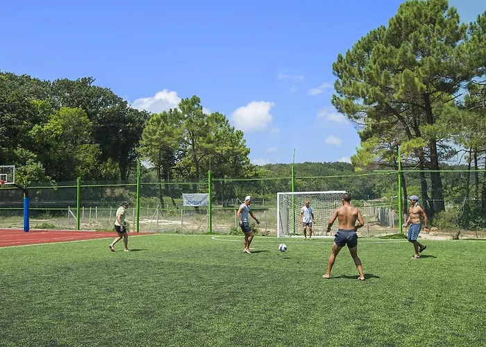 Forest 4* פרימורסקו