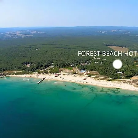 Forest 酒店