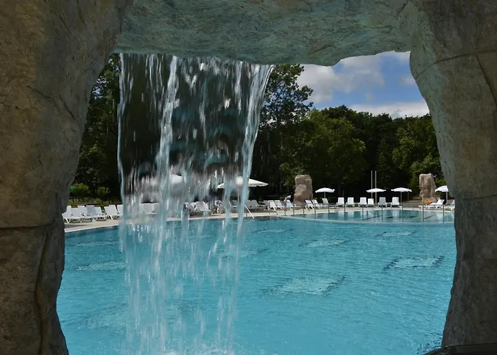 Forest ホテル プリモルスコ